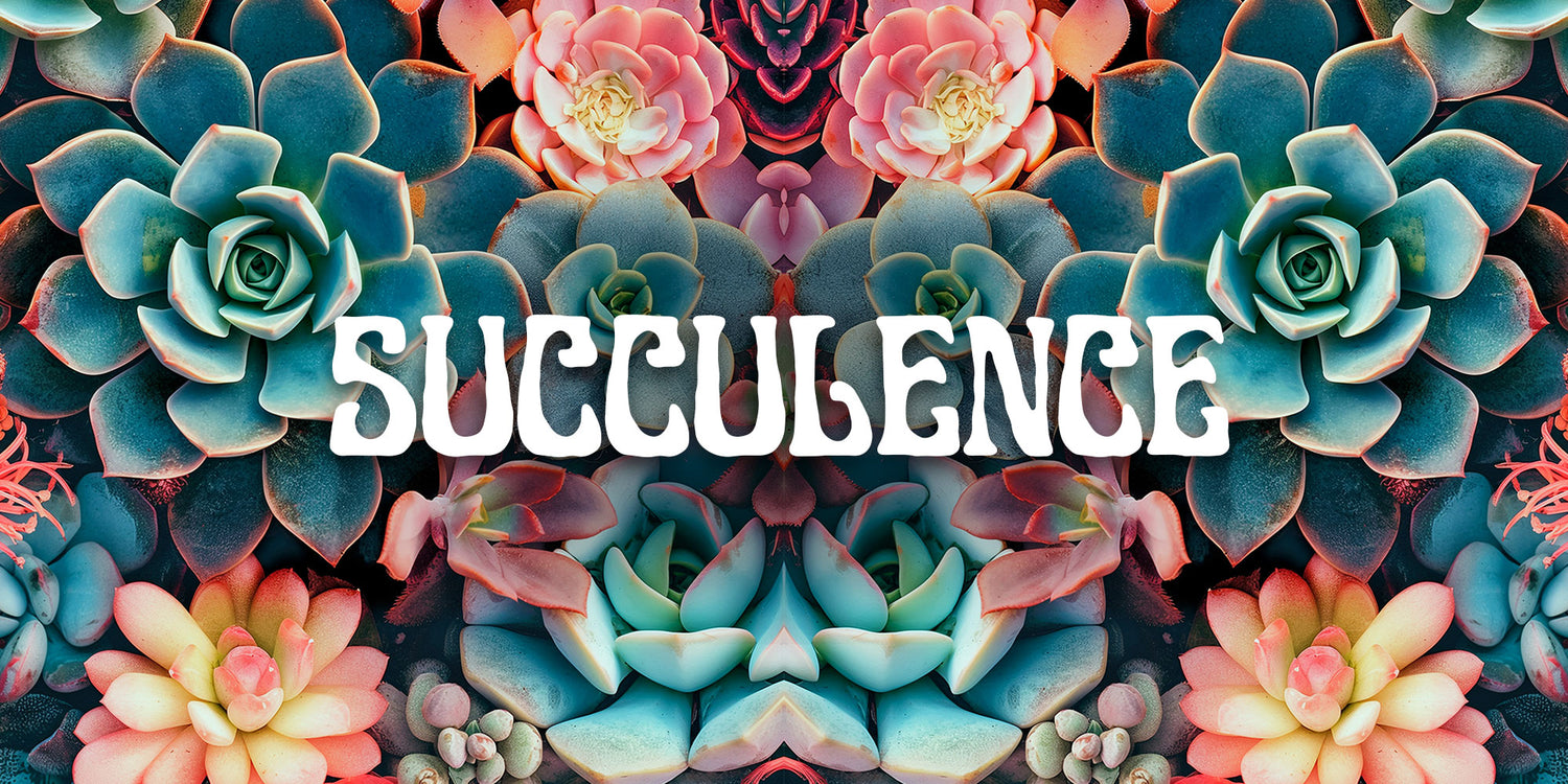 SUCCULENCE